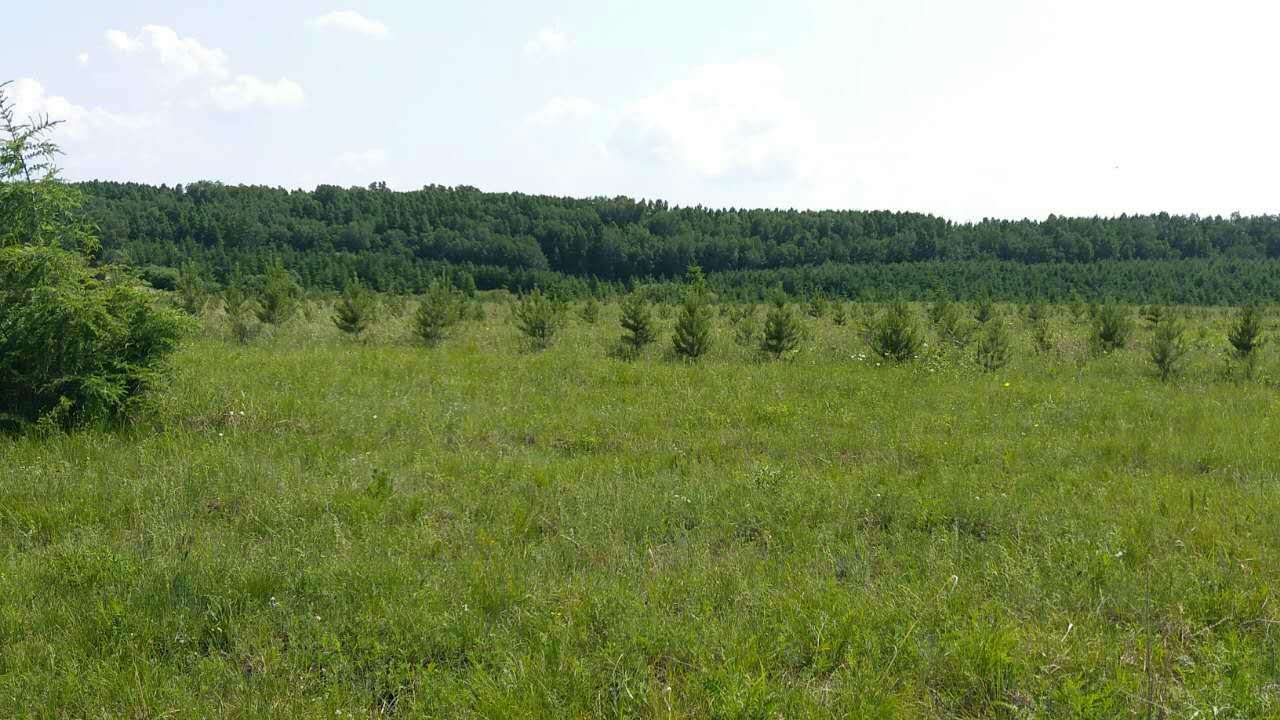 仟億達(dá)集團(證券代碼：831999)與科爾沁左翼旗苗圃就碳匯造林項目達(dá)成合作